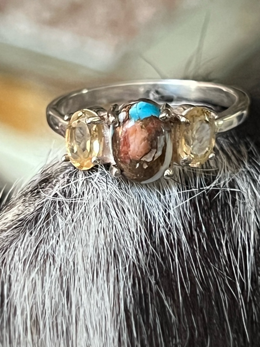 Sterling Silver spiny oyster and citrine ring